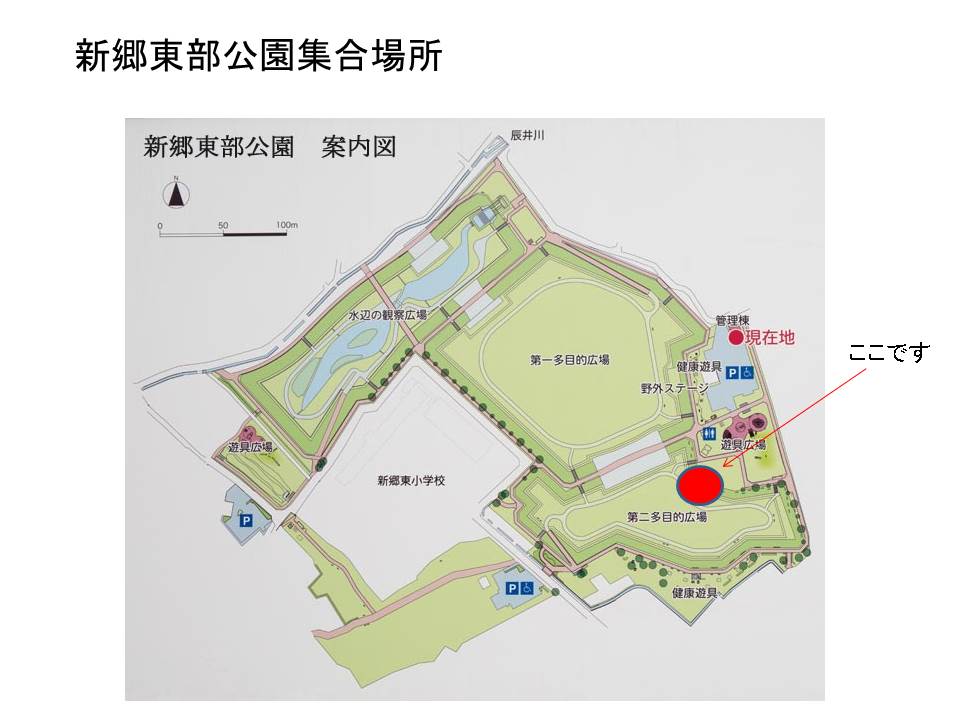 新郷東部公園（集合場所）.jpg