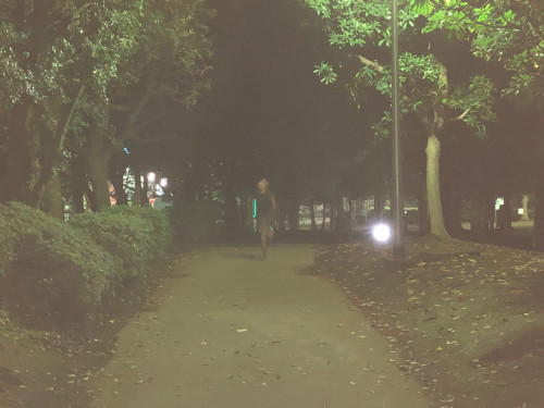 10月24日蕨公園.jpg