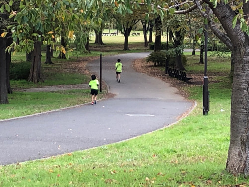 11月9日舎人公園①.jpg