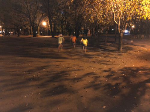 別所沼11月15日ステップクラス.jpg