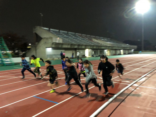 11月27日舎人公園.jpg