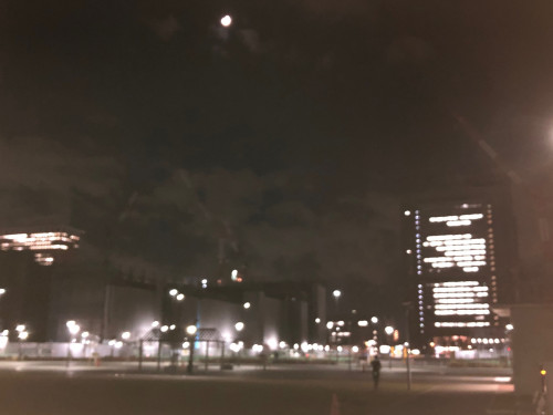 12月3日寒い公園.jpg
