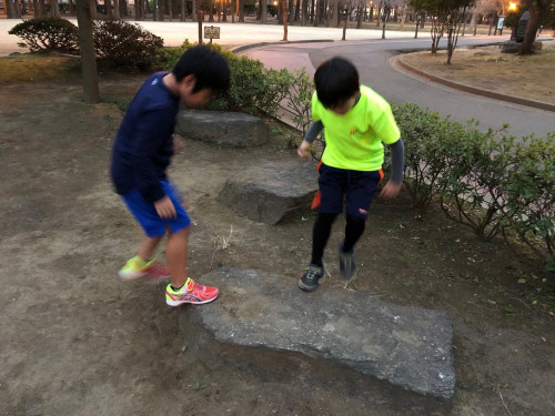 踏み台昇降.jpg