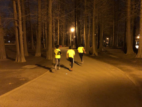 別所沼公園2月21日400ｍjpg.jpg