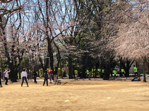 3月20日.jpg