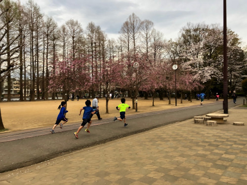 別所沼公園3月27日.jpg