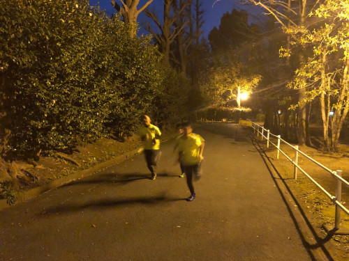 3月27日別所沼坂道.jpg