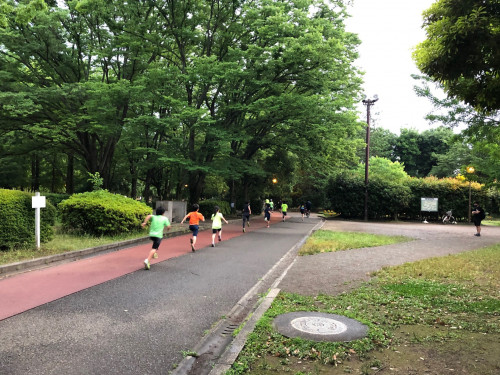 別所沼公園6月12日.jpg
