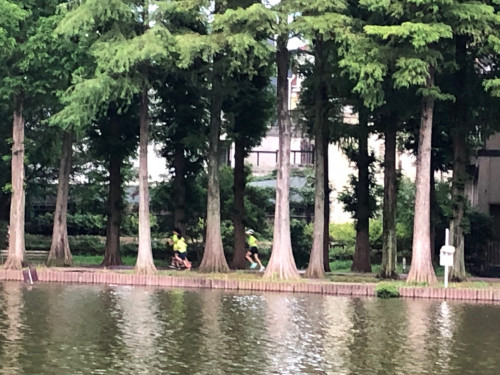 周回走（前半）.jpg