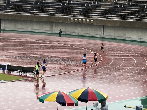 寧々４.jpg