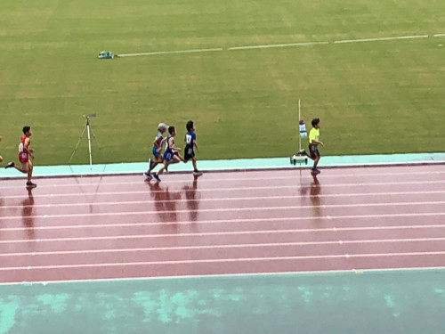 達樹４.jpg