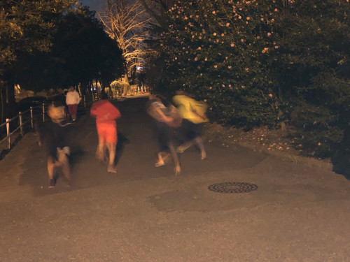 手無し.jpg