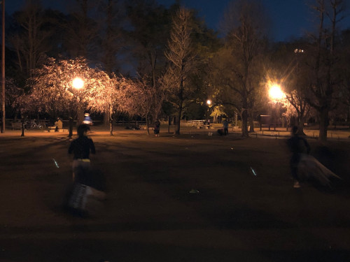 パラシュート.jpg