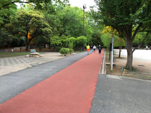 500m走2.jpg