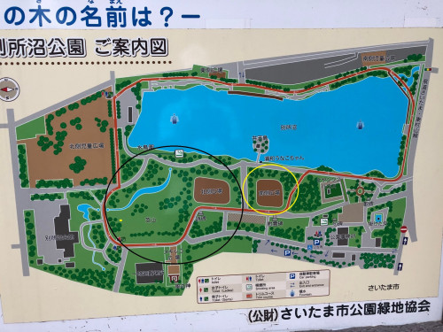 ランニングコース.jpg