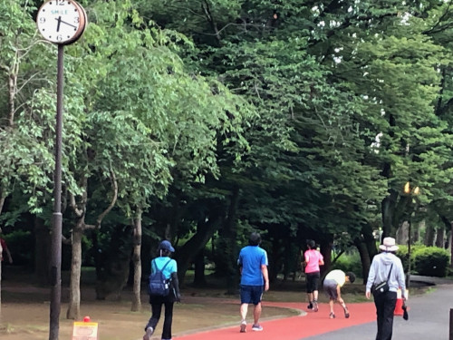 蚊に刺された.jpg