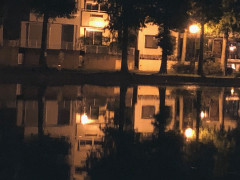 9月24日池.jpg