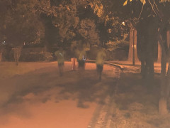 1200m.jpg
