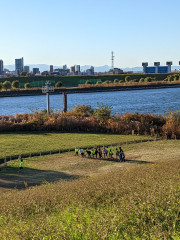 1500mスタート.jpg
