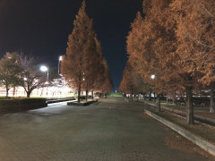 夜の舎人公園.jpg