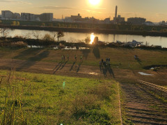 夕日を浴びて.jpg