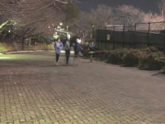 12月15日周回ジョッグ.jpg