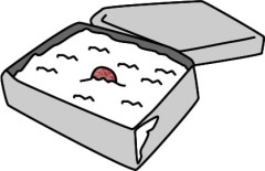 日の丸弁当蓋付き.jpg