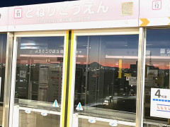駅から富士山.jpg