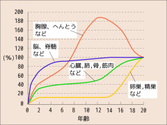 スキャモン発育発達曲線.jpg