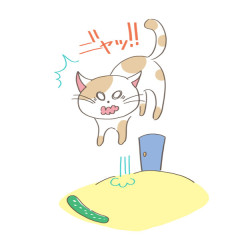 ネコ.jpg