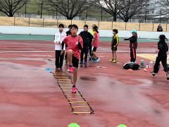 短距離ラダー.jpg