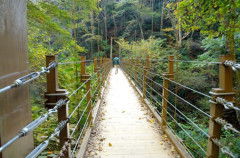 4号路吊り橋.jpg