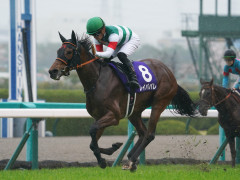 競馬.jpg
