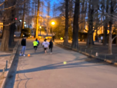 IMG_3096.jpg