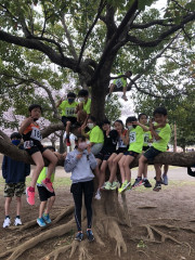 木登り.jpg