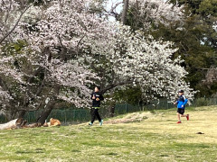 最初のヤマヲ登って下りて.jpg