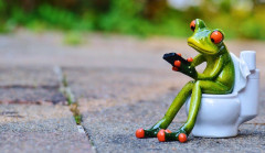 frog-toilet.jpg