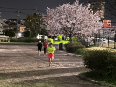 4月6日野外走.jpg