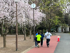 アップ4月8日.jpg
