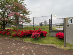 競技場の花.jpg