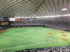 東京ドーム.jpg