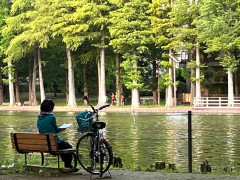 風景6月24日.jpg