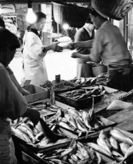 魚屋.jpg