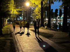 10月14日3.jpg