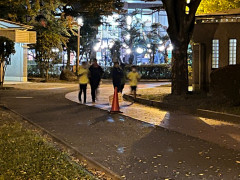 11月4日1周目.jpg