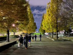 11月16日競技場からの移動.jpg