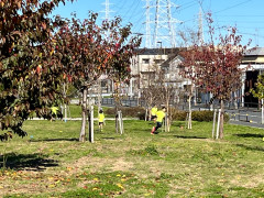 11月27日短距離ジグザグそう.jpg