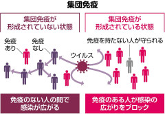 集団免疫.jpg