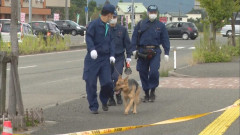 警察犬.jpg