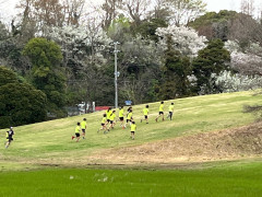 坂登.jpg